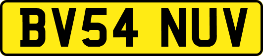 BV54NUV