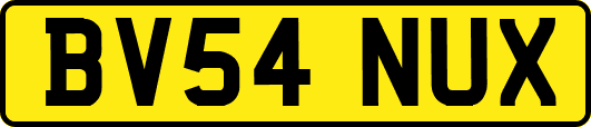 BV54NUX