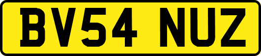 BV54NUZ