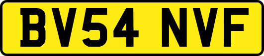 BV54NVF