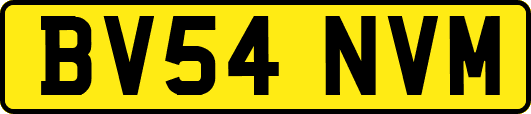 BV54NVM