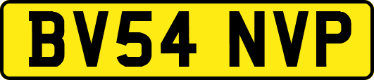 BV54NVP