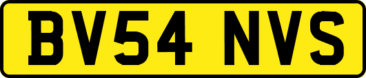 BV54NVS