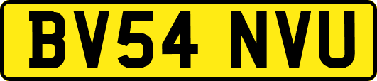 BV54NVU