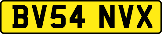 BV54NVX