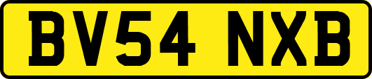 BV54NXB