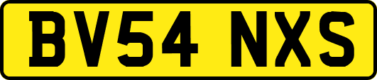 BV54NXS