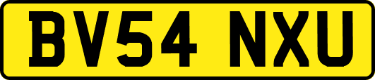 BV54NXU