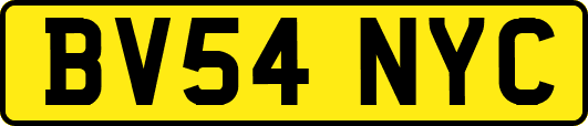 BV54NYC