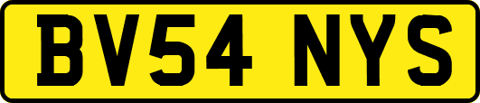 BV54NYS