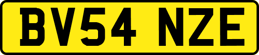 BV54NZE