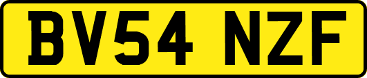 BV54NZF