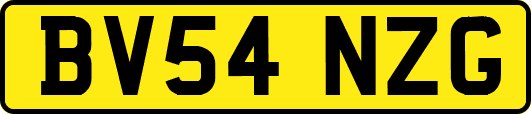 BV54NZG