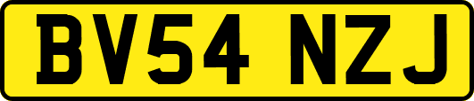 BV54NZJ