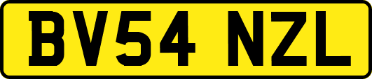 BV54NZL