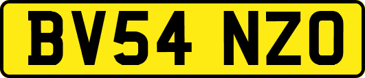 BV54NZO