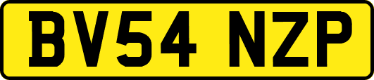 BV54NZP