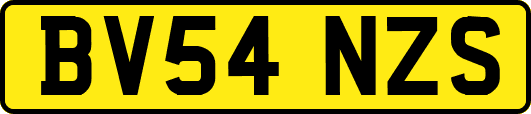 BV54NZS