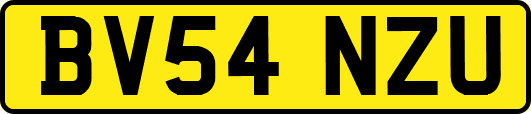 BV54NZU