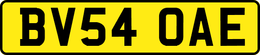 BV54OAE