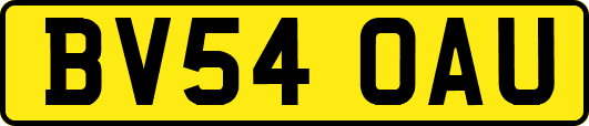 BV54OAU