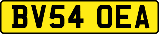 BV54OEA