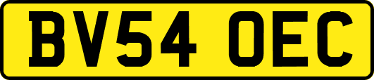 BV54OEC