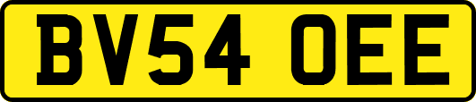 BV54OEE