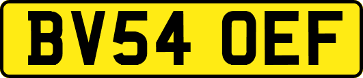 BV54OEF