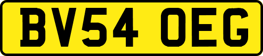 BV54OEG
