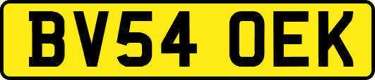 BV54OEK