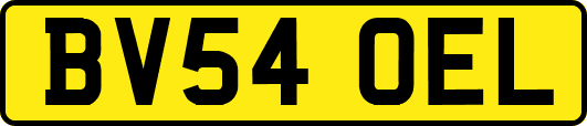BV54OEL