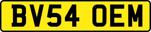 BV54OEM