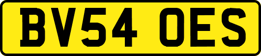 BV54OES