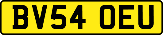 BV54OEU