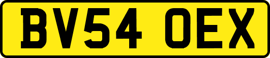 BV54OEX