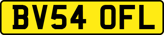 BV54OFL