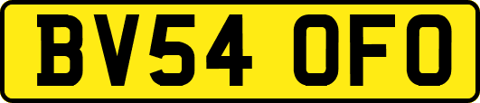 BV54OFO