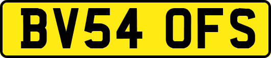 BV54OFS