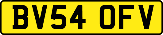BV54OFV