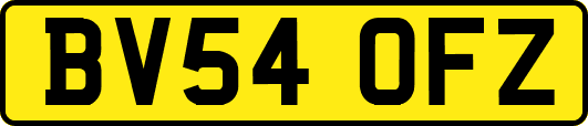 BV54OFZ