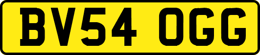 BV54OGG