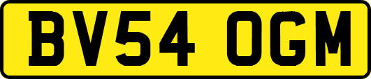 BV54OGM