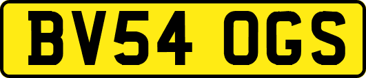 BV54OGS