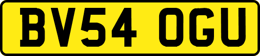 BV54OGU