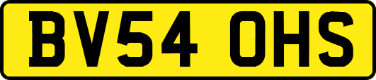 BV54OHS