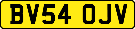 BV54OJV