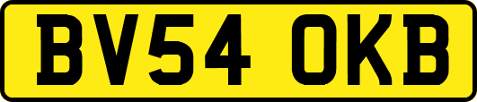 BV54OKB