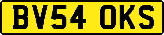 BV54OKS