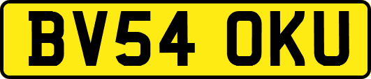 BV54OKU